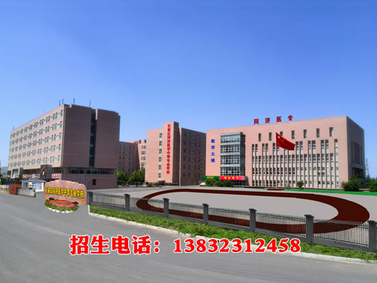 tongji.jpg