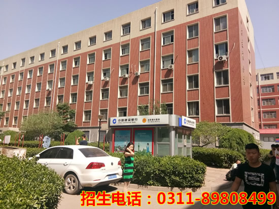 jingmao5.jpg