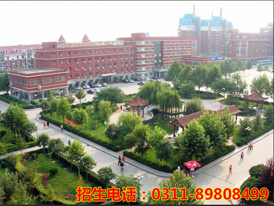 jingmao9.jpg