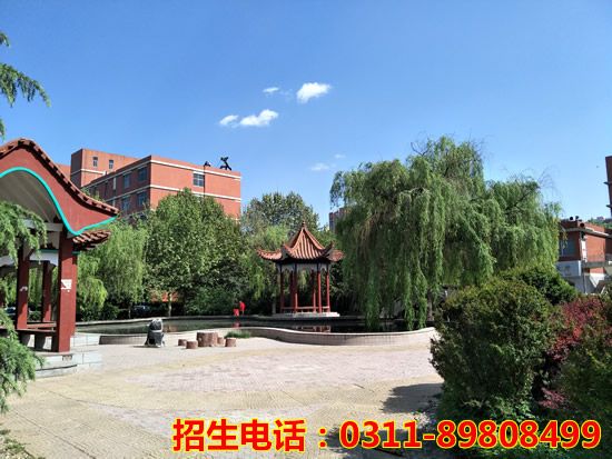 jingmao4.jpg