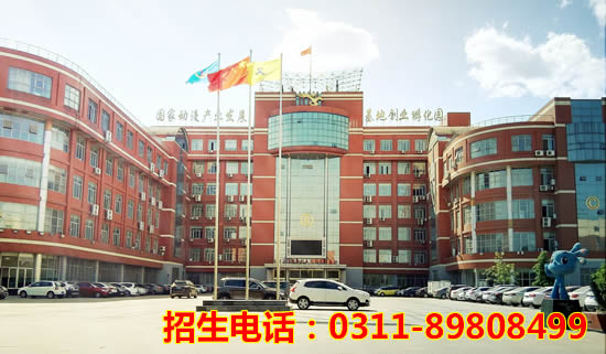 jingmao.jpg
