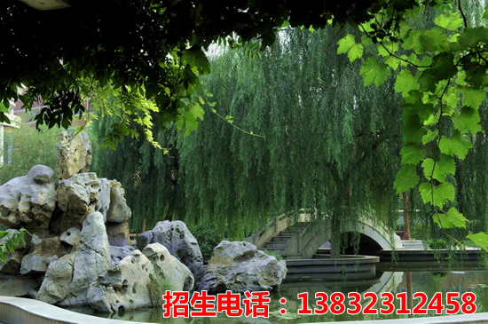 jingmao1.jpg