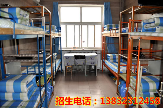jingmao8.jpg