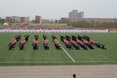 wenhua1.jpg